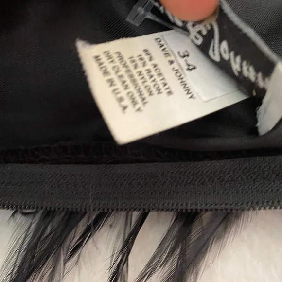 Vintage Velvet Gothic Gown with Feather Neckline - Picture 12 of 13